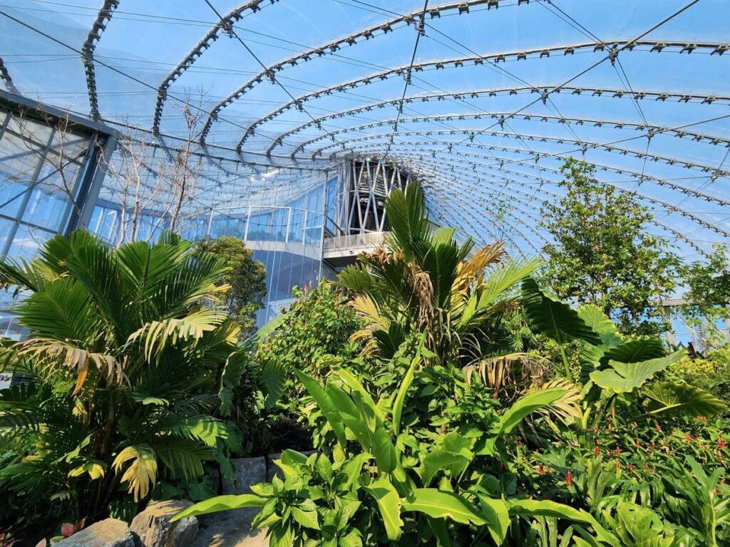 A photo from inside the tropical section of "The Leaf" Winnipeg in Assiniboine Park